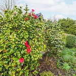 Linden Lea بيت للعطل