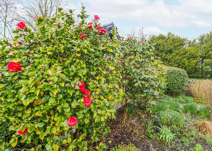 Linden Lea Holiday home